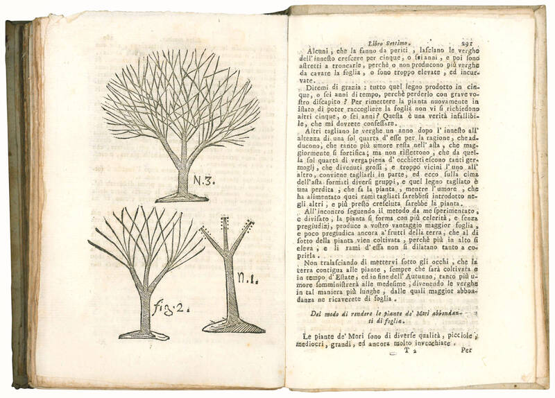 L'agricoltura sperimentata, ovvero Piano generale di agricoltura per uso dell'Italia nel quale s'insegna l'unico metodo di preparare le Terre per avere una raccolta in ogni classe che renda un cinquanta per cento più degli altri, e in particolare non sol