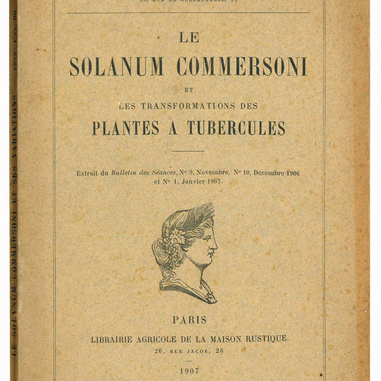 Le solanum commersoni et les transformations des plantes a tubercules.