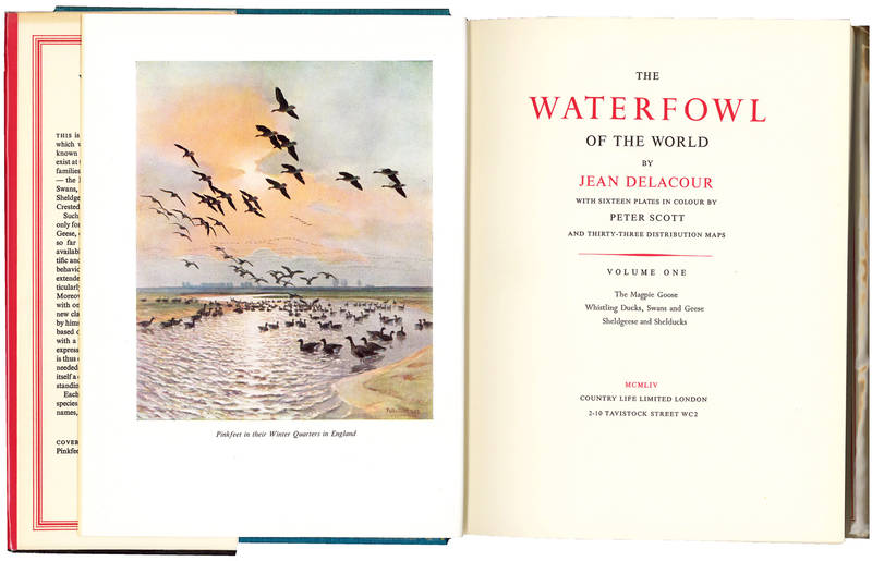 The Waterfowl of the World. Illustrated by Peter Scott