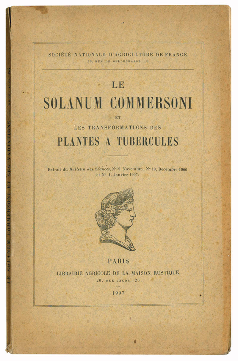 Le solanum commersoni et les transformations des plantes a tubercules.