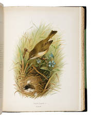 Birds of Great Britain and Ireland. Order Passeres, complete in two volumes