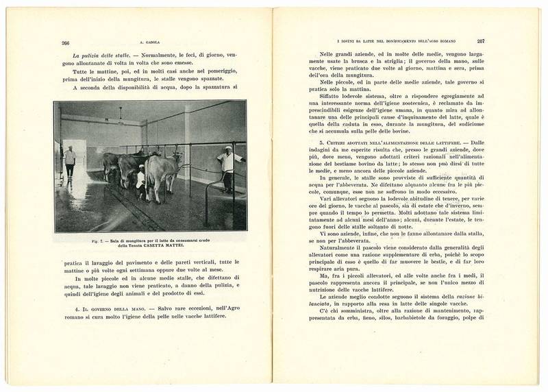 I bovini da latte nel bonificamento dell'agro romano. Estratto dai Nuovi Annali dell'Agricoltura. Editi dal Ministero dell'Agricoltura e delle Foreste. Anno XII - 1932.