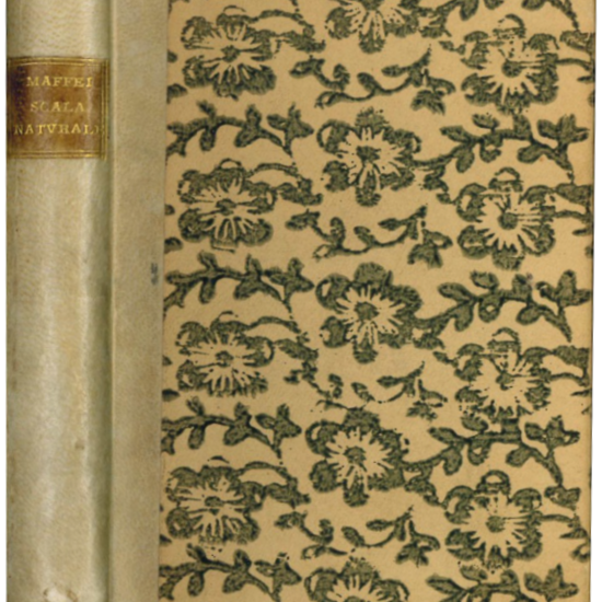 Scala naturale, overo fantasia dolcissima di Gio. Camillo Maffei da Solofra, Intorno alle cose occulte, e desiderate nella Filosofia.