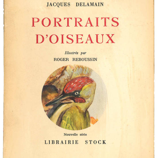 Portraits d’oiseaux (nouvelle série)