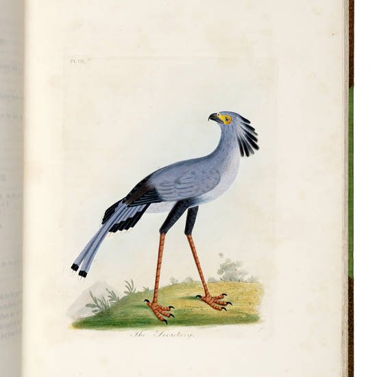 A General History of Birds. Vol. I [-X]