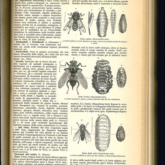 Dizionario pratico di agricoltura.