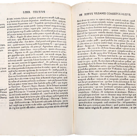 Pauli Cortesii Protonotarii Apostolici in libros de Cardinalatu ad Iulium Secundum Pont. Max. prooemium. Colophon: Symeon Nicolai Nardi Senensis alias Rufus Calchographus imprimebat in Castro Cortesio, Die decimaquinta Novembris M.CCCCCX