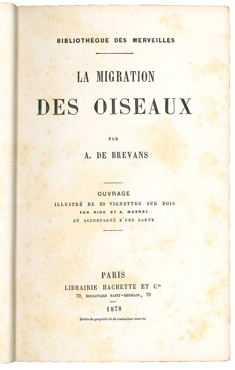 La migration des oiseaux