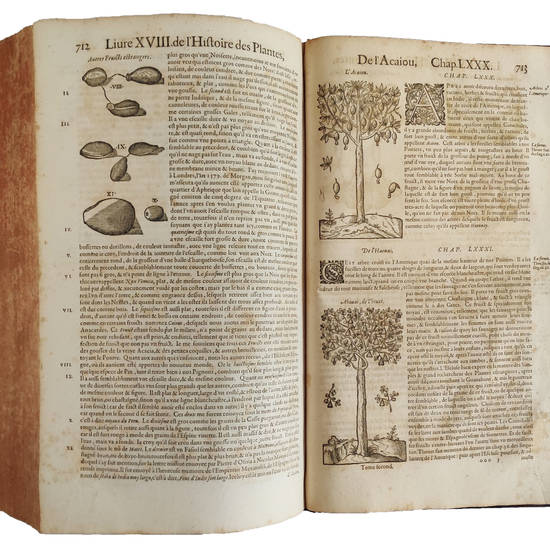 Histoire generale des plantes contenant XVIII. livres egalement departis en deux tomes: Sortie Latine de la Bibliotheque de M. Iaques Dalechamps, puis faite Franc?oise par M. Jean des Moulins [...] Tome premier [-second]