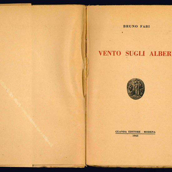 Vento sugli alberi.