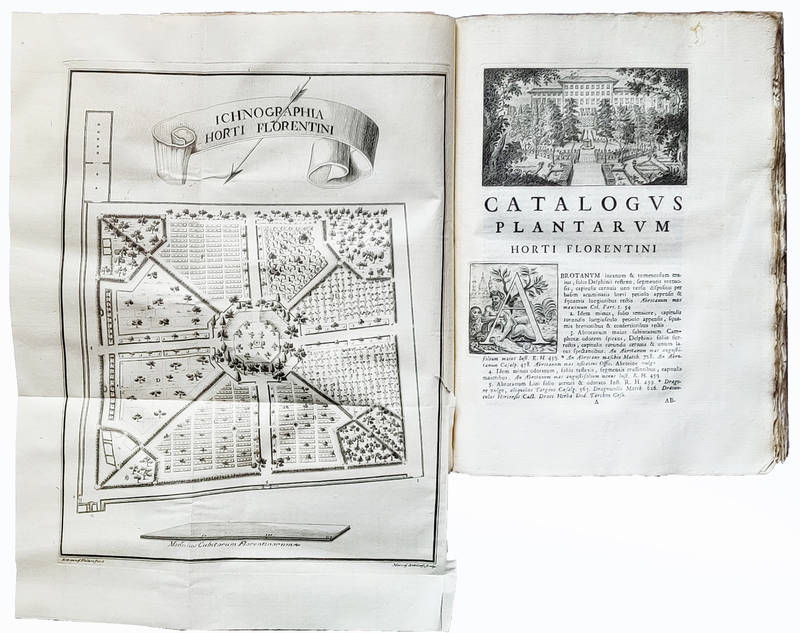 Catalogus plantarum horti caesarei Florentini opus postumum iussu Societatis botanicae editum, continuatum, et ipsius horti historia locupletatum ab Io. Targionio Tozzettio