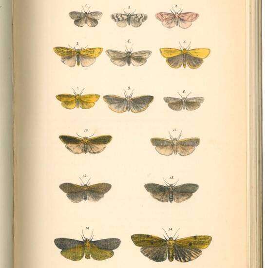 A natural history of British moths. 4 volumi.