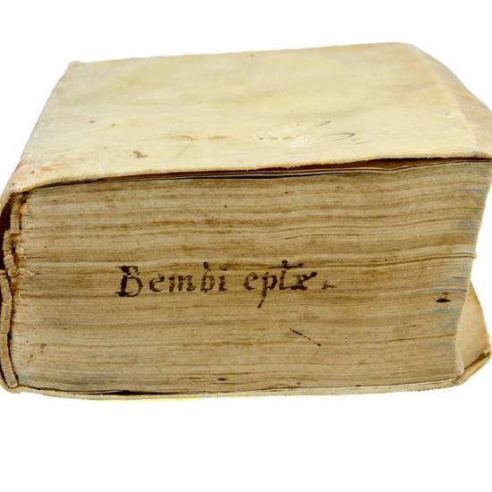 Epistolarum familiarium, libri VI. Eiusdem, Leonis X. Pont. Max. nomine scriptarum, lib. XVI