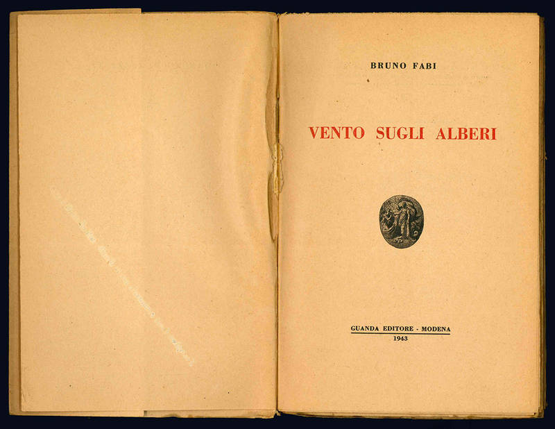 Vento sugli alberi.