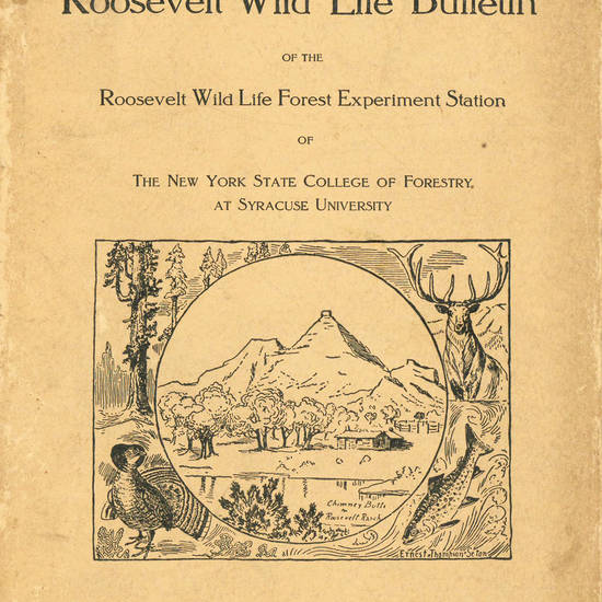 of the Roosevelt Wild Life Forest Experimental Station of the New York State College of Forestry at Syracuse University. Volume 4 (October 1926), Number 1. Relation of birds to woodlots