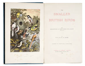 The Smaller British Birds