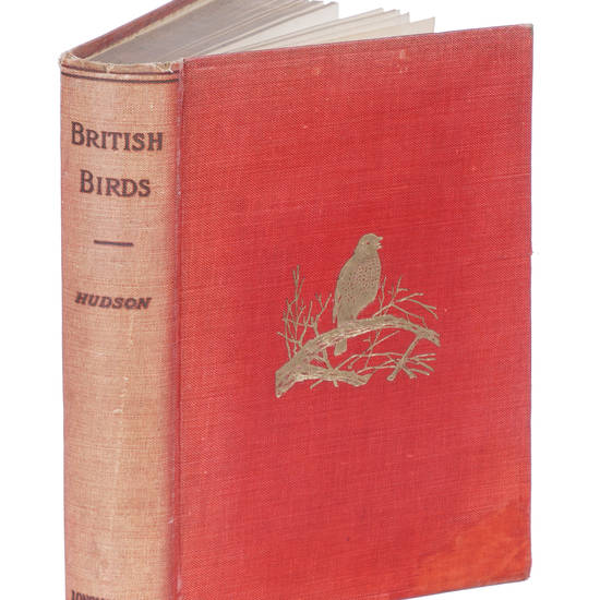 British Birds. With a chapter on structure and classification by Frank E. Beddard. With 8 coloured plates from original drawings by A. Thorburn and 8 plates and 100 figures in black and white from original drawings by G. E. Lodge and 3 illustrations from