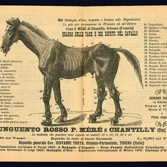 Prodotti veterinari di P. Mère de Chantilly. Catalogo.