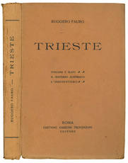 Trieste. Italiani e slavi, il governo austriaco, l'irredentismo.