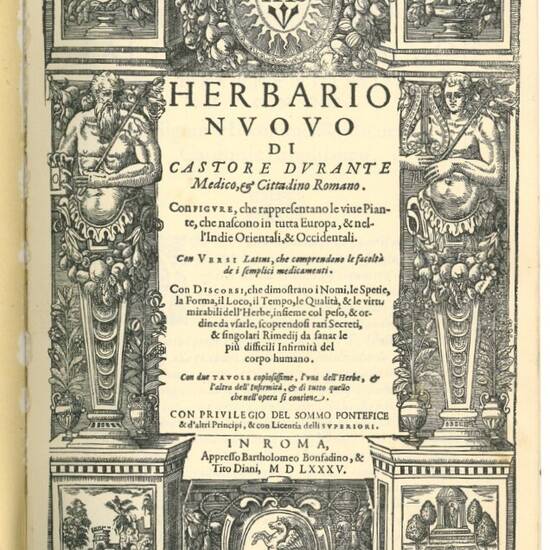 Herbario nuovo di Castore Durante medico, & cittadino romano. Con figure che rappresentano le viue piante, che nascono in tutta Europa, & nell'Indie orientali & occidentali [...]. Con discorsi, che dimostrano i nomi, le spetie, la forma, il loco, il tempo