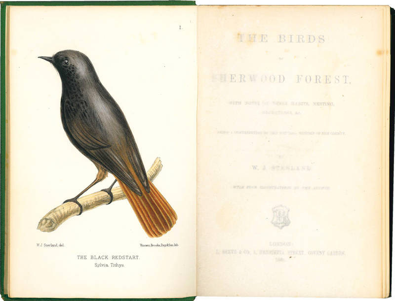 The birds of Sherwood Forest. With notes on their habits, nesting, migrations, & c. Being a contribution to the Natural History of the Country. With four illustrations by the author