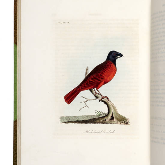 A General History of Birds. Vol. I [-X]