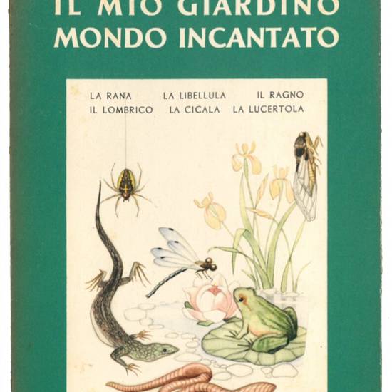 Il mio giardino mondo incantato. Vol. 2. Il ragno, la libellula, la rana, la cicala, il lombrico, la lucertola.