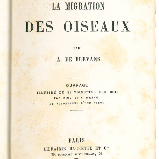 La migration des oiseaux