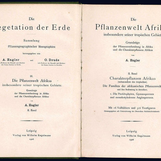 Die Pflanzelwelt Afrikas insbesondere seiner tropischen Gabiete. II. Band.