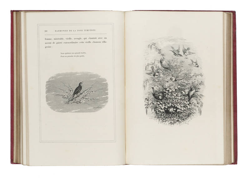 L’Oiseau. Illustrée de 210 vignettes sur bois dessinées par H. Giacomelli. Quatorzième édition