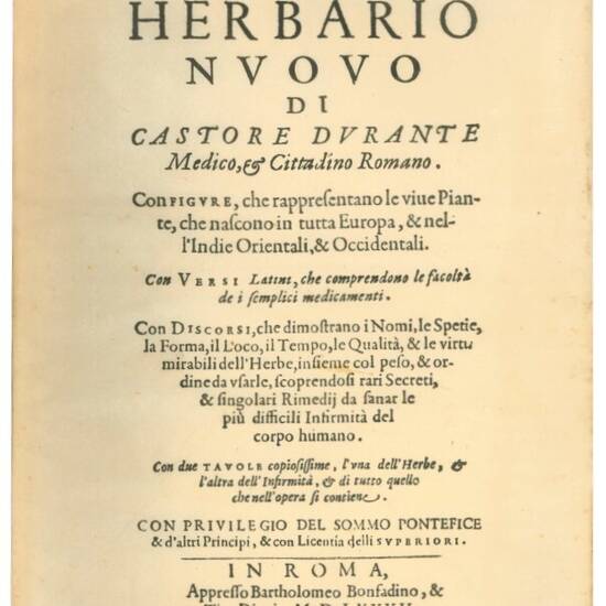 Herbario nuovo di Castore Durante medico, & cittadino romano. Con figure che rappresentano le viue piante, che nascono in tutta Europa, & nell'Indie orientali & occidentali [...]. Con discorsi, che dimostrano i nomi, le spetie, la forma, il loco, il tempo