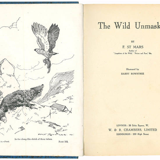 The Wild Unmasked. Illustrated by Harry Rowntree.