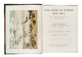 The Geese of Europe and Asia being the description of most of old world species