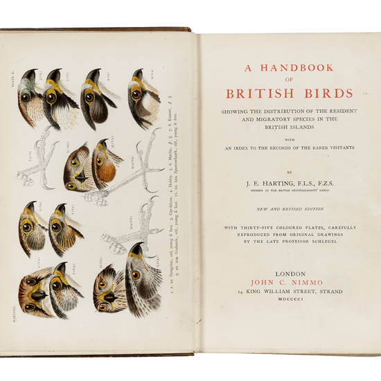 A Handbook of British Birds. Showing the distribution of the resident and migratory species in the British Islands with an index to the records of the rarer visitants. New and revisited edition