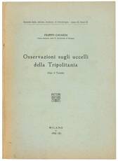 Osservazioni sugli uccelli della Tripolitania.