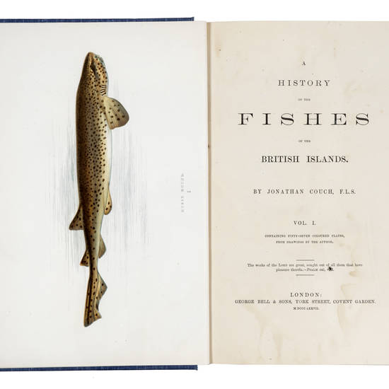 A history of the fishes of the British Islands