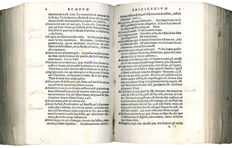 L. Io. Scoppae Spicilegium. In quo nomina, tum verba latina popularibus expressa varii in utraque lingua elegantiarum modi traduntur, ex optimis authoribus desumptum, per ordinem literarum confectum […] Cumulus accessit, index duplex vulgarium dictionum